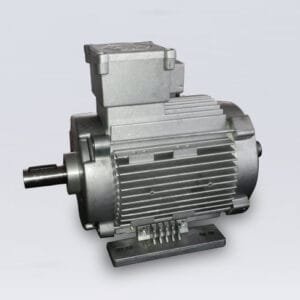 Specialaus išpildymo varikliai